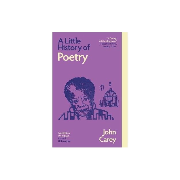 A LITTLE HISTORY OF POETRY PB