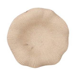 ESTIA ΔΙΑΚΟΣΜΗΤΙΚΟΣ ΔΙΣΚΟΣ NYRA IVORY 28.5cm