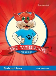 THE CAT IS BACK PRE-JUNIOR FLASHCARDS