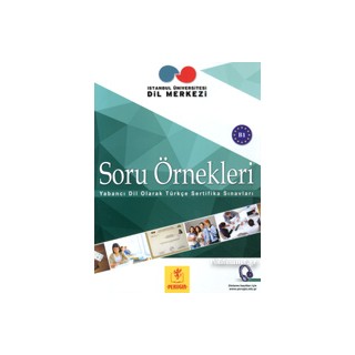 SORU ORNEKLERI B1