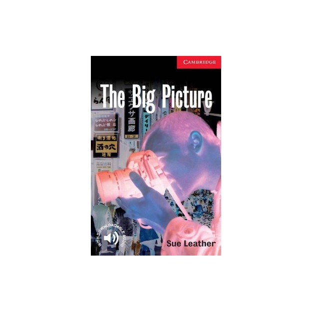 CER 1: THE BIG PICTURE (+ DOWNLOADABLE AUDIO) PB