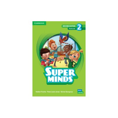 SUPER MINDS 2 FLASHCARDS 2ND ED