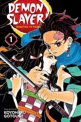 DEMON SLAYER, VOL. 01 PA