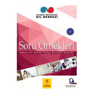SORU ORNEKLERI A1