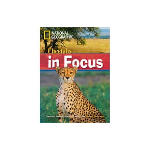 FRL 6: CHEETAHS IN FOCUS B2 (+ DVD)