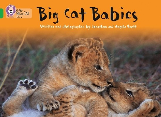 COLLINS BIG CAT : BIG CAT BABIES BAND 05/GREEN PB