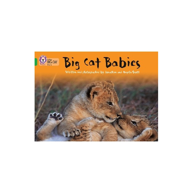 COLLINS BIG CAT : BIG CAT BABIES BAND 05/GREEN PB