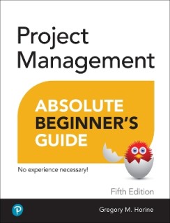 PROJECT MANAGEMENT ABSOLUTE BEGINNERS GUIDE