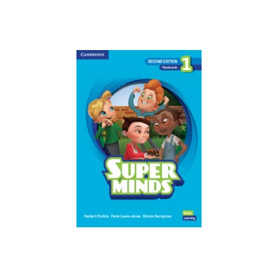 SUPER MINDS 1 FLASHCARDS 2ND ED