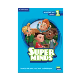 SUPER MINDS 1 FLASHCARDS 2ND ED