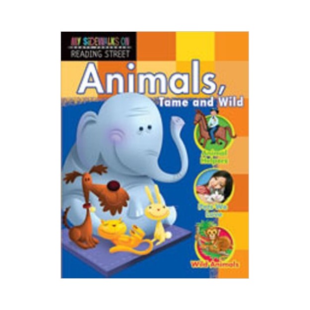 MY SIDEWALK ON READING STREET 1.2