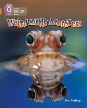 COLLINS BIG CAT : WEIRD LITTLE MONSTERS BAND 12/COPPER: BAND 12 PHASE 5, BK. 6 PB
