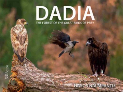DADIA : THE FOREST OF THE GREAT BIRDS OF PRAY