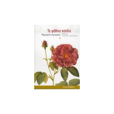 ΤΑ ΨΑΘΙΝΑ ΚΑΠΕΛΑ ΜΥΘΙΣΤΟΡΗΜΑ