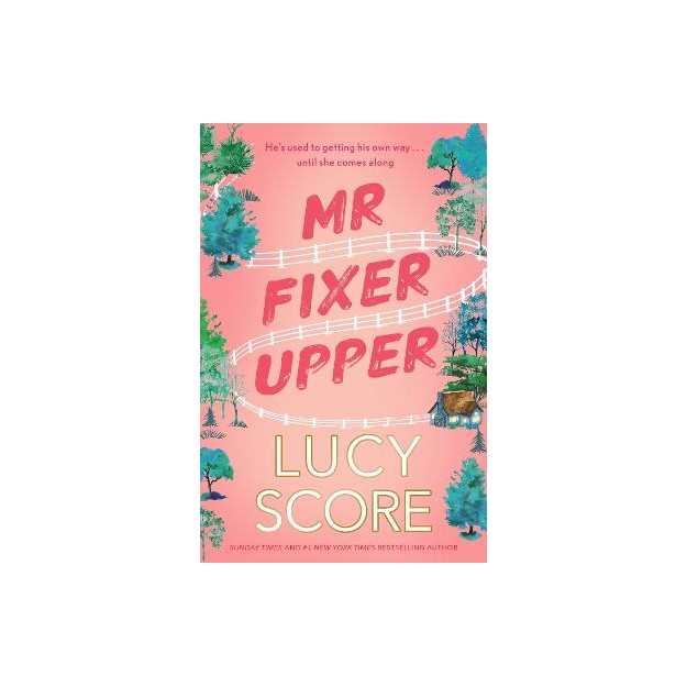 MR. FIXER UPPER