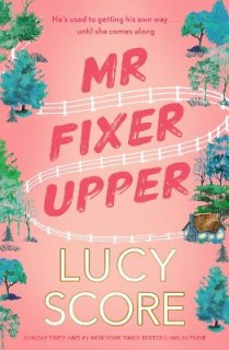 MR. FIXER UPPER