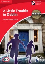 CAMBRIDGE DISCOVERY READERS 1: A LITTLE TROUBLE IN DUBLIN PB