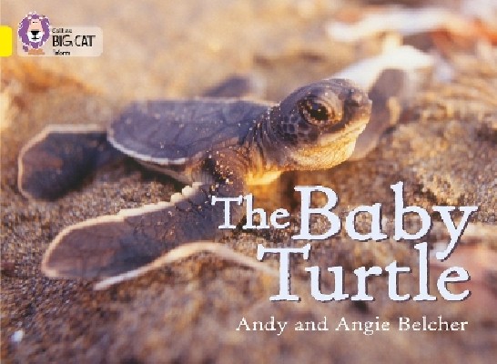 COLLINS BIG CAT : THE BABY TURTLE BAND 03/YELLOW PB