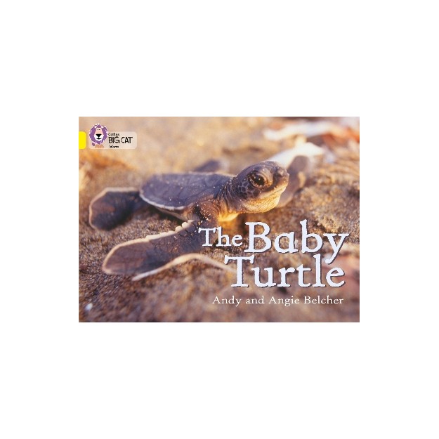 COLLINS BIG CAT : THE BABY TURTLE BAND 03/YELLOW PB