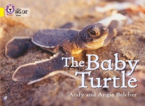 COLLINS BIG CAT : THE BABY TURTLE BAND 03/YELLOW PB