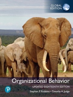 ORGANIZATIONAL BEHAVIOR 18TH ED