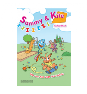 SAMMY   KITE PRE-JUNIOR FLASHCARDS