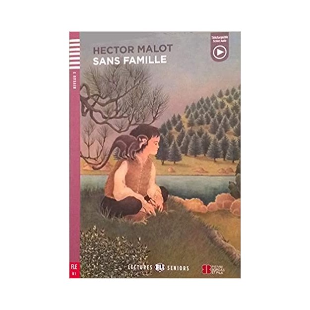 LES 3: SANS FAMILLE + DOWNLOADABLE MULTIMEDIA