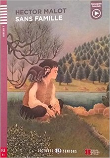 LES 3: SANS FAMILLE + DOWNLOADABLE MULTIMEDIA