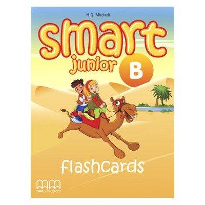 SMART JUNIOR B FLASHCARDS
