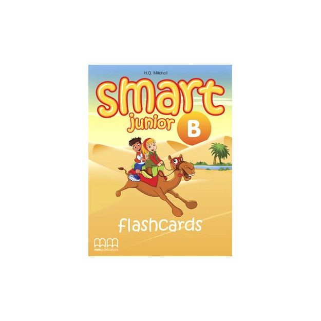 SMART JUNIOR B FLASHCARDS