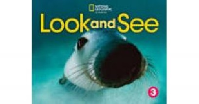 LOOK AND SEE LEVEL 3 BRE FLASHCARDS