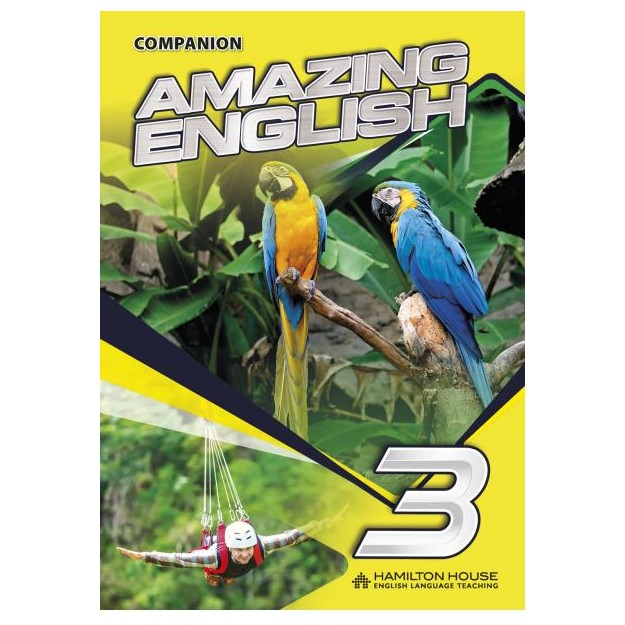 AMAZING ENGLISH 3 COMPANION