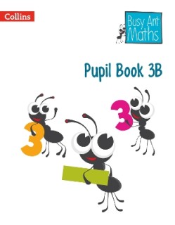 PUPIL BOOK 3B