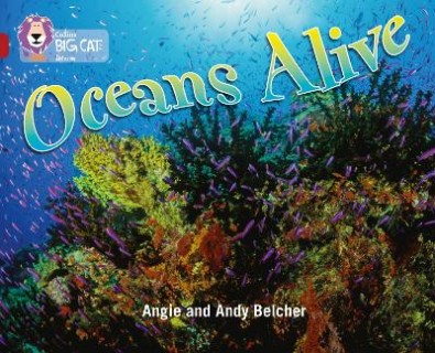 COLLINS BIG CAT : OCEANS ALIVE BAND 14/RUBY PHASE 5, BK. 18 PB