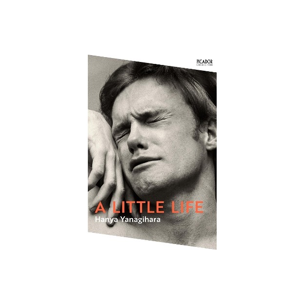 A LITTLE LIFE