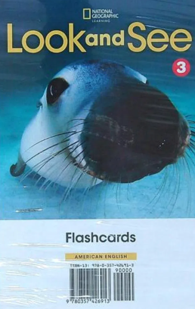 LOOK AND SEE LEVEL 3 AME FLASHCARDS