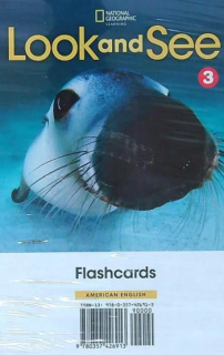 LOOK AND SEE LEVEL 3 AME FLASHCARDS
