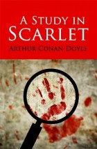 ROLLERCOASTERS: A STUDY IN SCARLET
