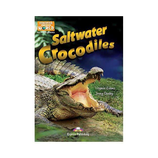 DAW : SALTWATER CROCODILES (+ CROSS-PLATFORM APPLICATION)
