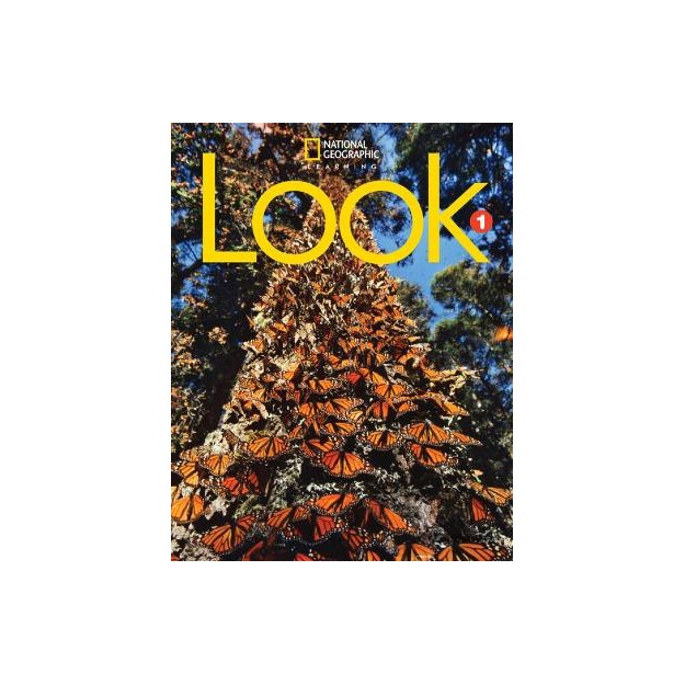 LOOK 1 SB ( + SPARK) AMER. ED