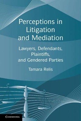 PERCEPTIONS IN LITIGATION AND MEDIATION