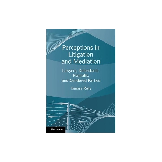 PERCEPTIONS IN LITIGATION AND MEDIATION
