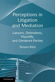 PERCEPTIONS IN LITIGATION AND MEDIATION
