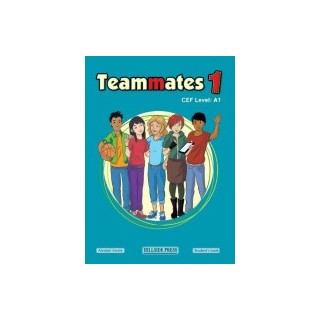 TEAMMATES 1 A1 GRAMMAR
