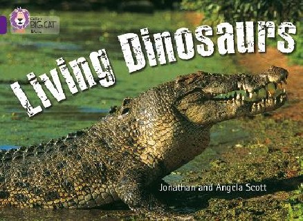 COLLINS BIG CAT : LIVING DINOSAURS BAND 08/PURPLE PB
