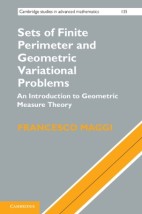 SETS OF FINITE PERIMETER AND GEOMETRIC VARIATIONAL PROBLEMS HC