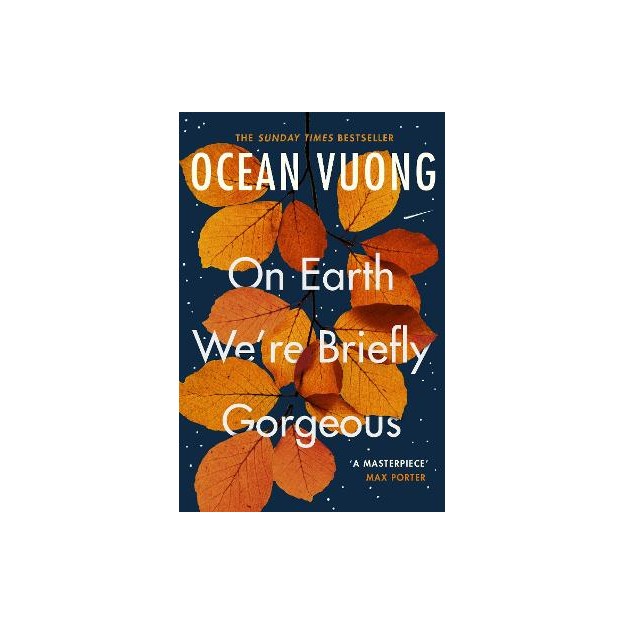 ON EARTH WERE BRIEFLY GORGEOUS