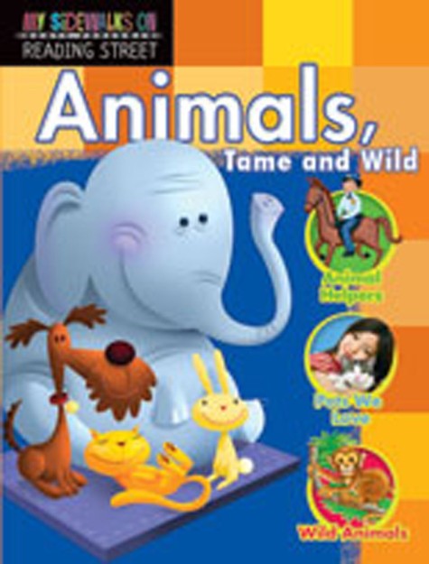 MY SIDEWALK ON READING STREET 1.3