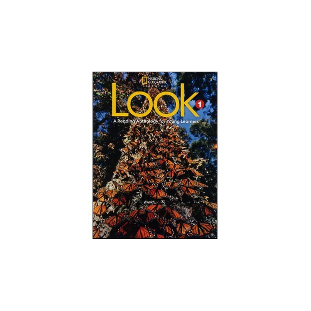 LOOK 1 SB ANTHOLOGY - AME