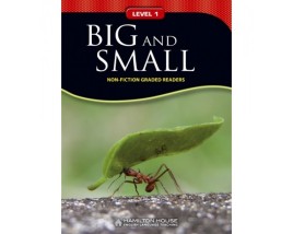 NFGR 1: BIG AND SMALL